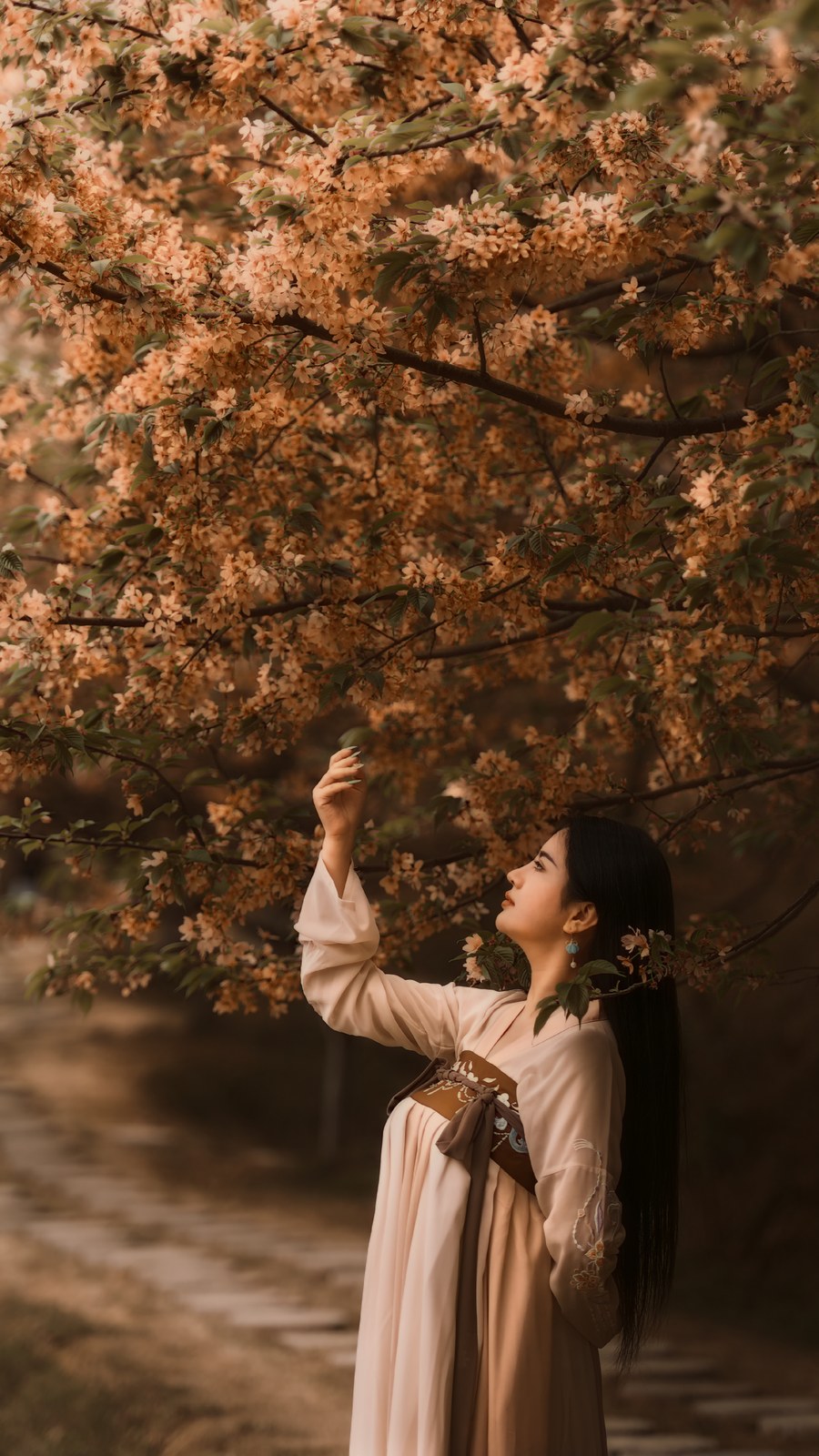 Blossom portrait result with warm sunset tone.