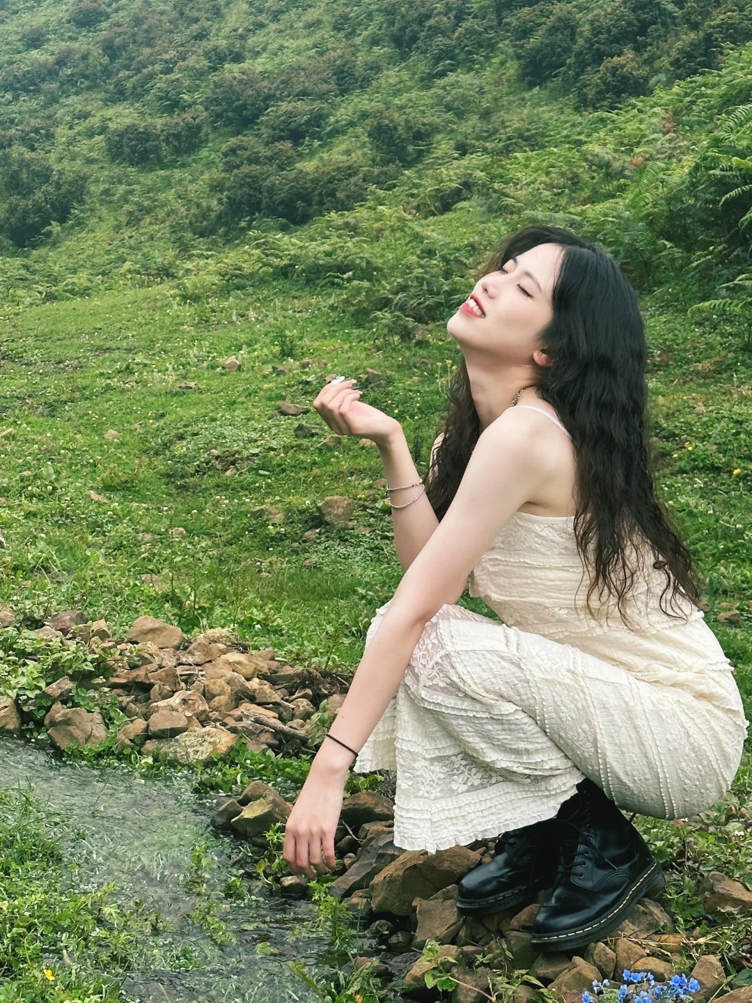 Green forest reference image.
